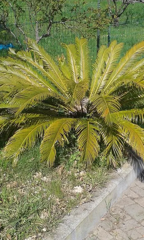 Ospitalita In Campagna Guest House Quiliano